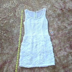 Rachel Roy Elegant Sleeveless Dress
